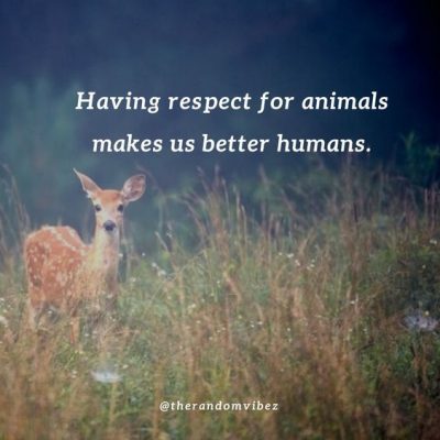 Save Wild Animals Quotes