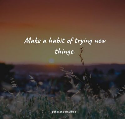 Try Something New Quotes