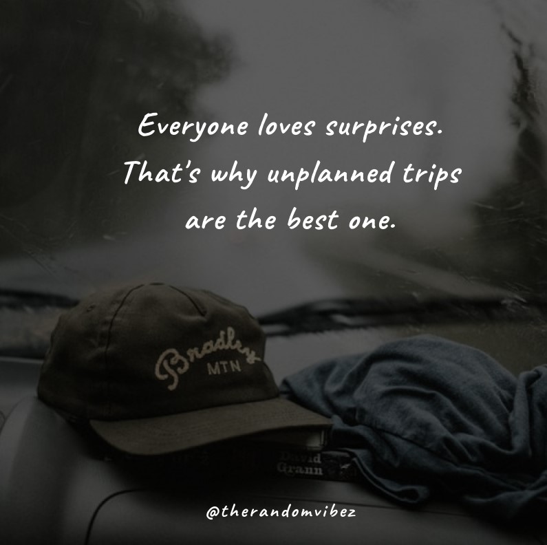 trip unplanned quotes