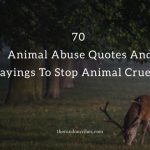 70 Animal Abuse Quotes And Sayings To Stop Animal Cruelty