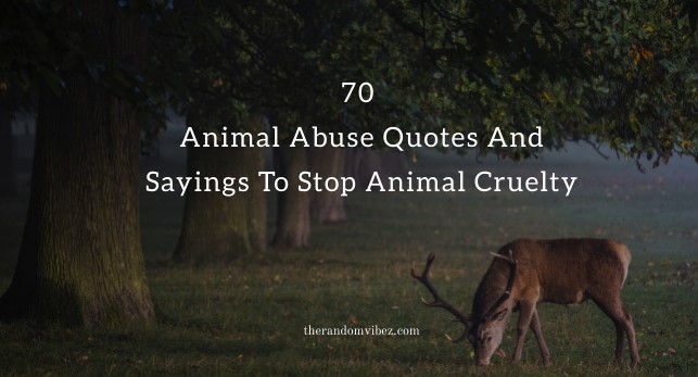 70 Animal Abuse Quotes And Sayings To Stop Animal Cruelty