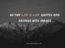 80 Fun Life Is Like Quotes And Sayings