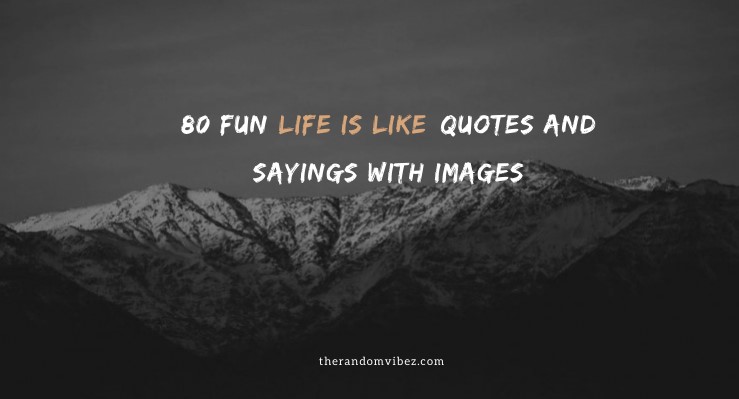 80 Fun Life Is Like Quotes And Sayings