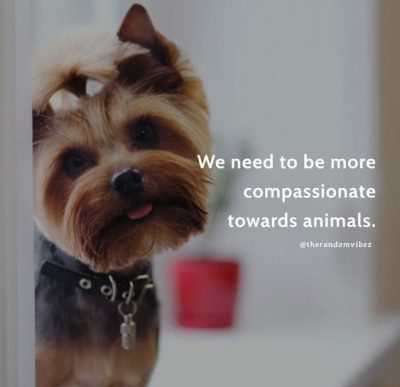 Animal Abuse Posters