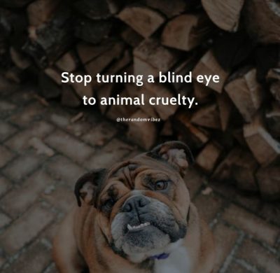 Animal Abuse Quotes Images