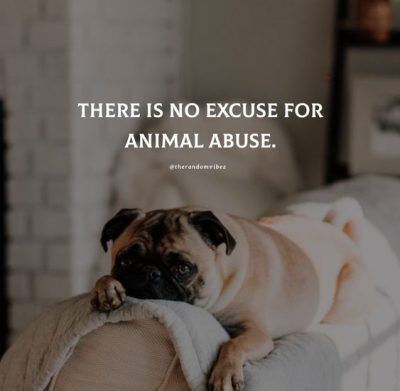 Animal Cruelty Quotes
