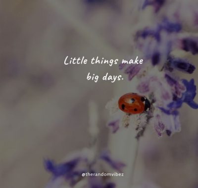 Short Ladybug Quotes