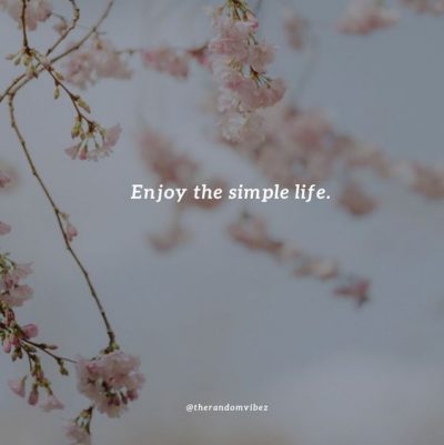 Simple Life Quotes Images