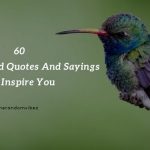 60 Hummingbird Quotes And Sayings To Inspire You