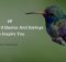 60 Hummingbird Quotes And Sayings To Inspire You