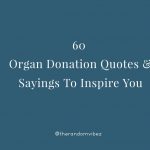 60 Organ Donation Quotes & Sayings To Inspire You