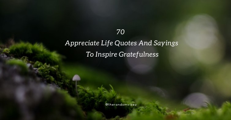 70 Appreciate Life Quotes And Sayings