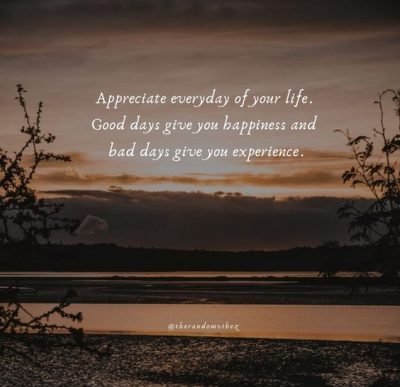 Appreciate Everything In Life Quotes