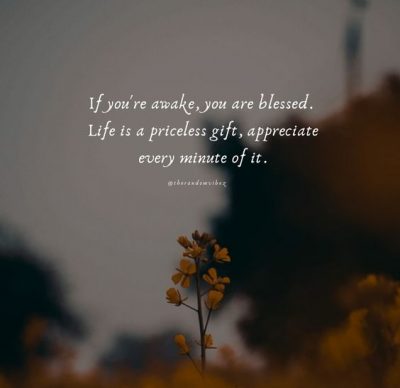 Appreciate Life Quotes Images