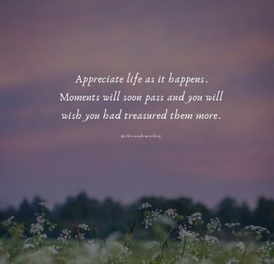 Appreciate Life Quotes Pictures