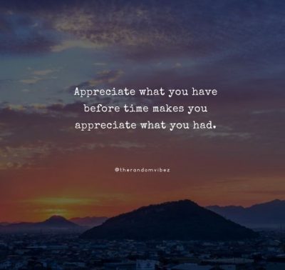 Appreciate What You Have Quotes