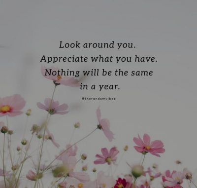 Appreciate the Little Things In Life Quotes