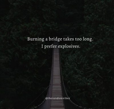 Burning Bridges Quotes Funny