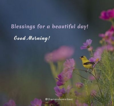 Good Morning Blessings Quotes