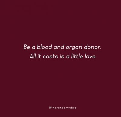 Inspirational Donor Quotes
