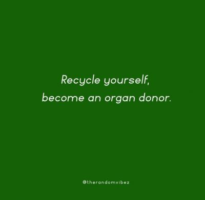 Organ Donation Quotes