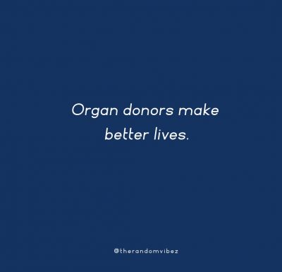 Organ Donor Quotes