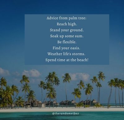Palm Tree Beach Quotes