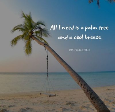 Palm Tree Quotes