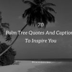 Palm Tree Quotes And Sayings