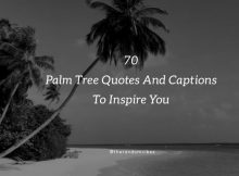 Palm Tree Quotes And Sayings