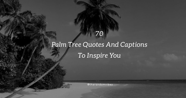 Palm Tree Quotes And Sayings