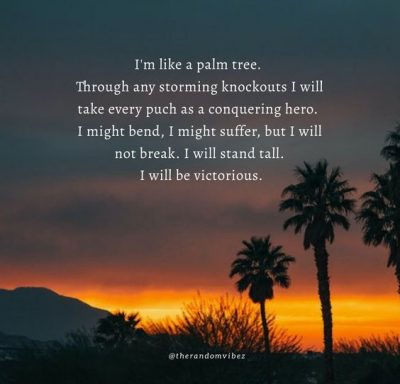 Palm Tree Quotes Images