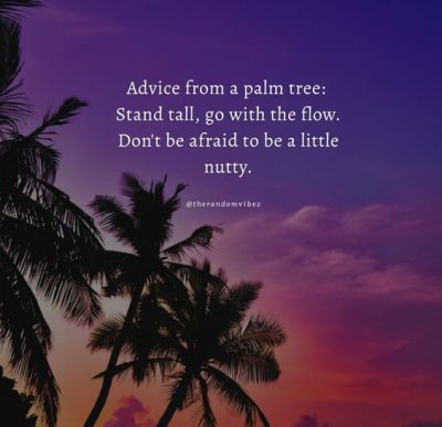 Palm Tree Quotes Wallpaper
