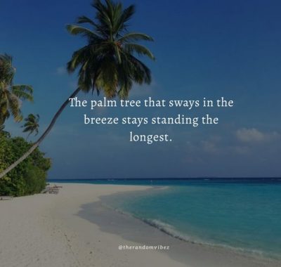 Palm Tree Strength Quotes