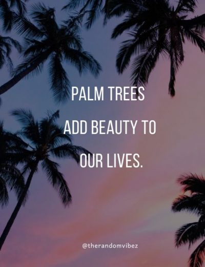 Short Palm Tree Quotes