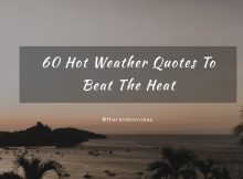 60 Hot Weather Quotes To Beat The Heat | The Random Vibez