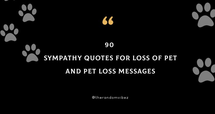 90 Sympathy Quotes For Loss Of Pet And Pet Loss Messages