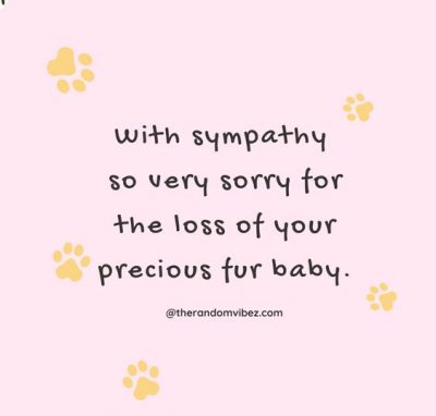 Comforting Words for Loss of Pet
