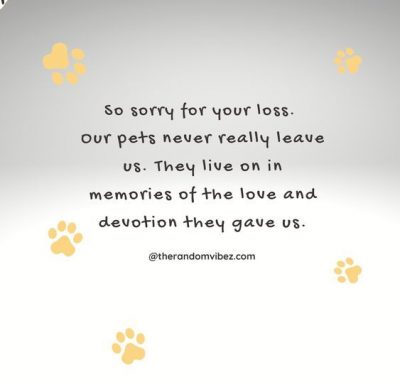 Dog Memorial Quotes