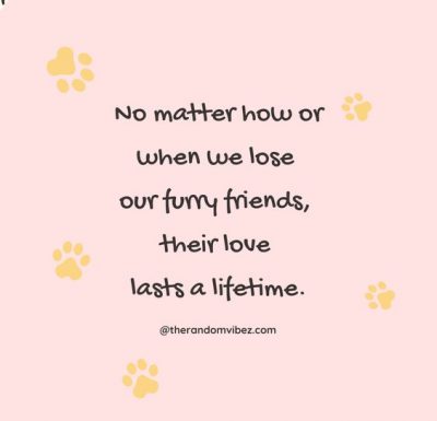 Dog Sympathy Quotes