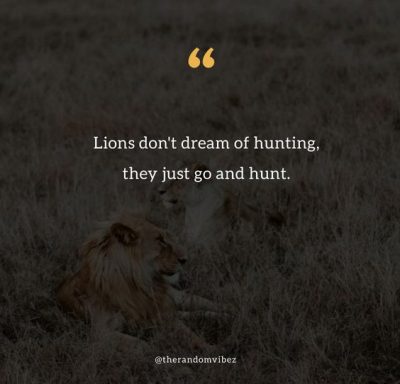 Hunting Quotes Wallpaper