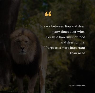 Inspirational Hunting Quotes