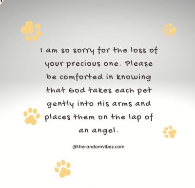 Loss Of A Loved Pet Quotes