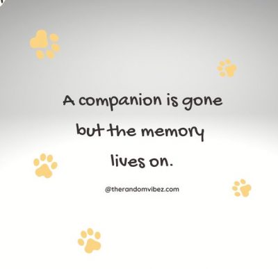 Pet Condolences