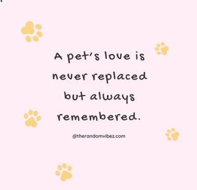 Pet Sympathy Card Messages