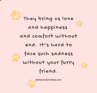 Pet Sympathy Quotes