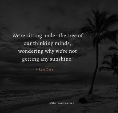 Ram Dass Tree Quote