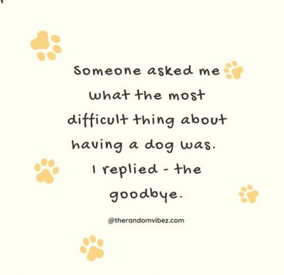 Sympathetic Pet Loss Quotes