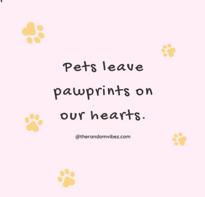 Sympathy Quotes for Loss Of Pet Images
