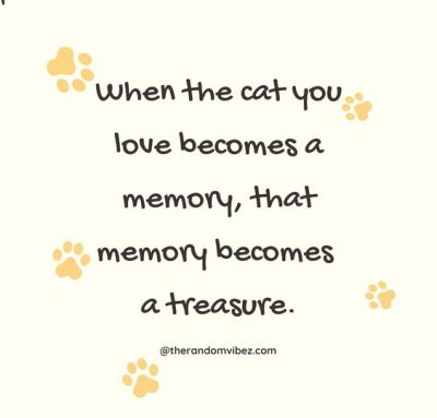 Sympathy Quotes for Loss Of pet